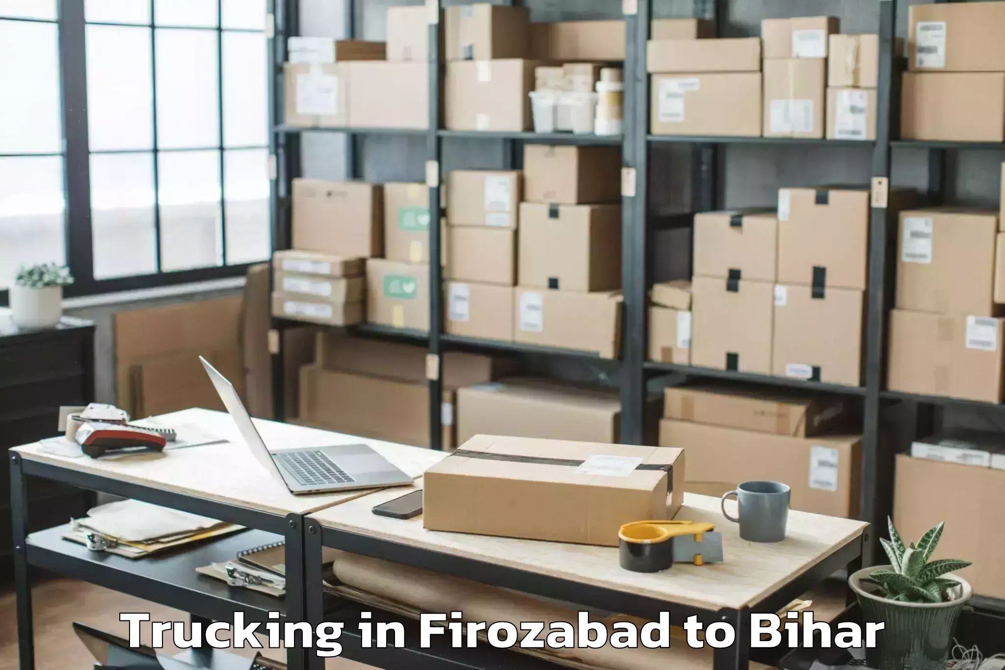 Easy Firozabad to Bhinder Trucking Booking